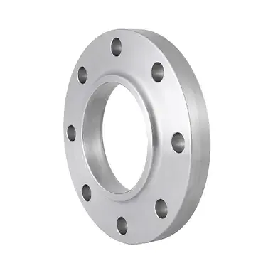 Loose flange ASTM