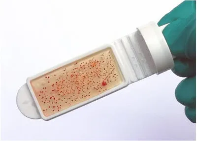 Fuel Bacteria Test Kit (Dip Slides 10)